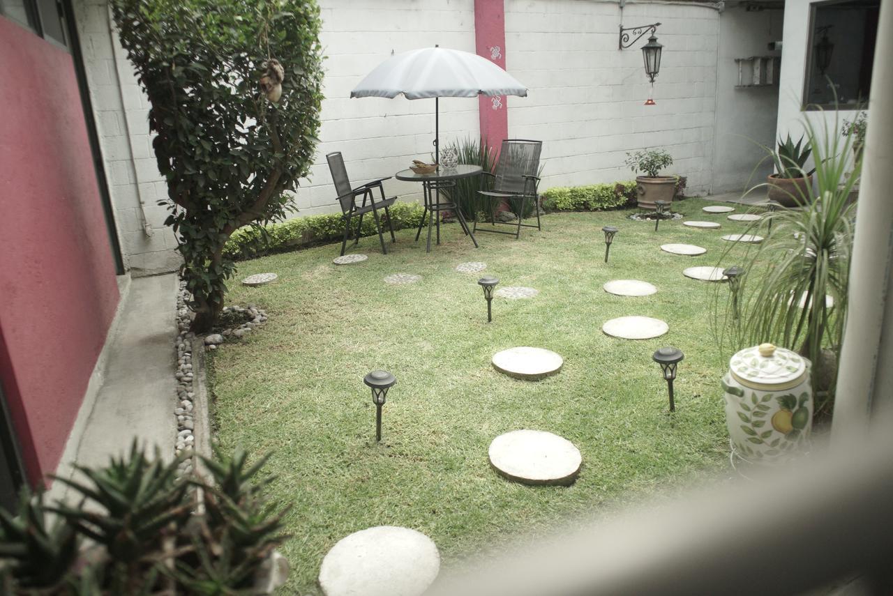 Colibri Bed & Breakfast Città del Messico