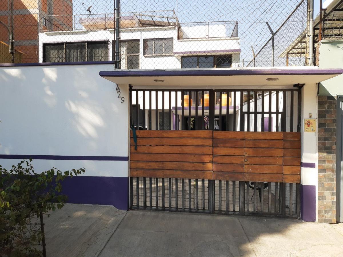 Colibri Città del Messico